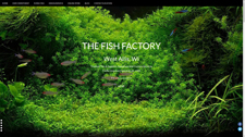 the Fish Factory's website